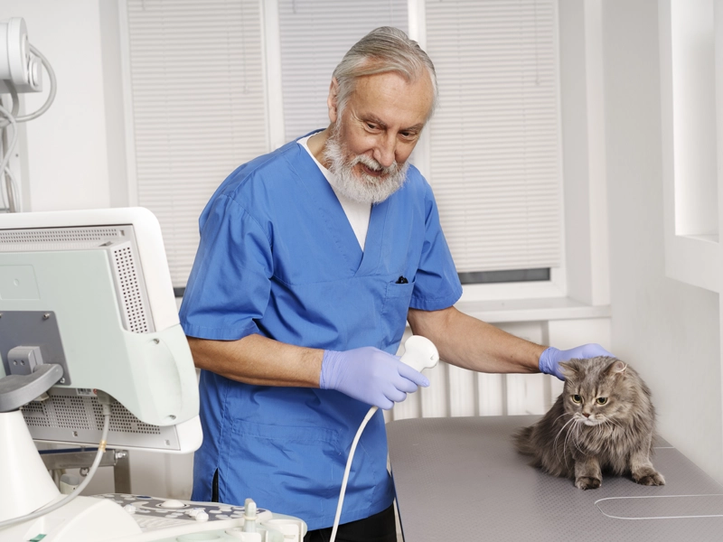 Ultrahang szakrendelés 